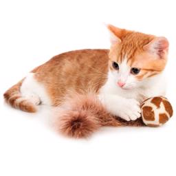 Kong Cat Active Wild Tails Kattboll med Fjädrar